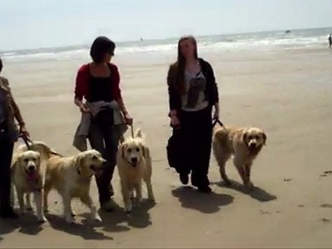 rencontre st cécile 0016