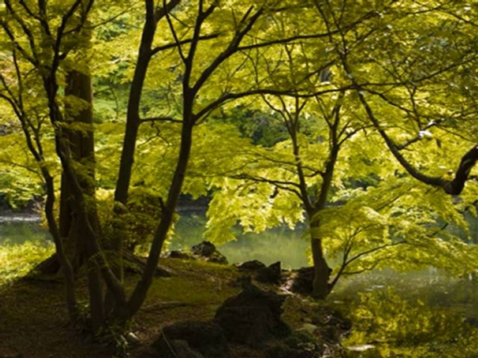 Nujabes - Winter Lane (Nujabes REMIX)