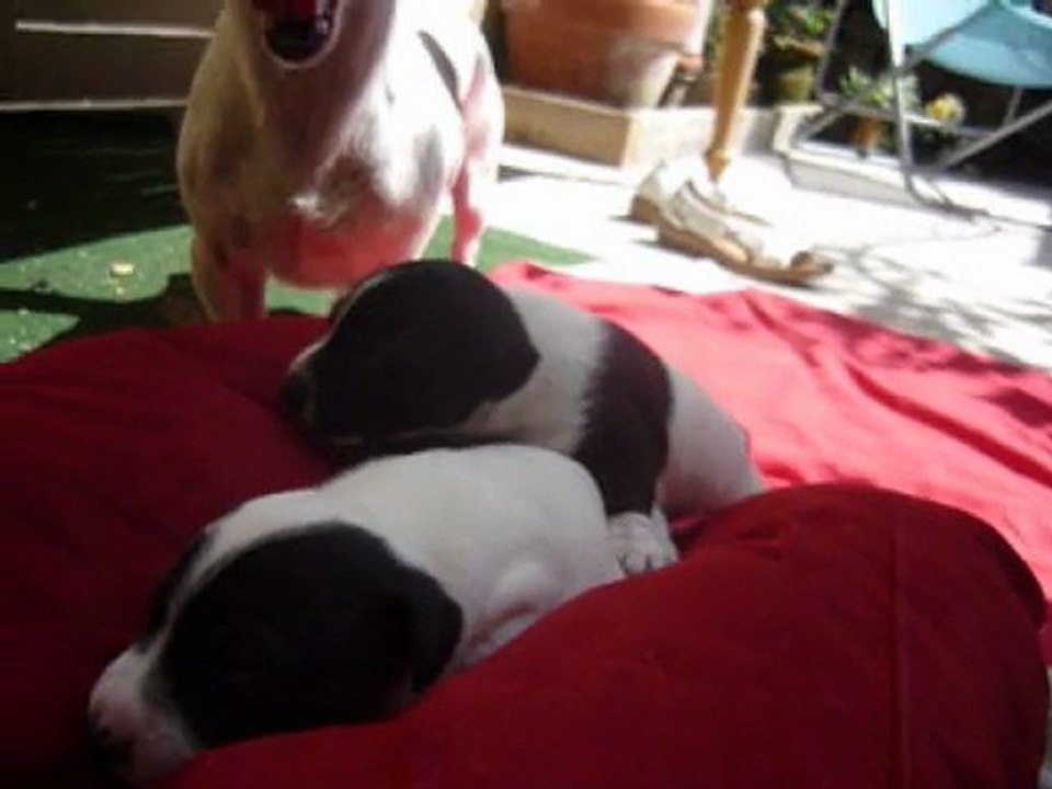 3 semaines premier bain de soleil