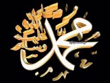 Cours N°21 - Le Prophète sallallahu `alayhi wa sallam s'installe chez Abû Ayyûb al-Ansârî_{Kamel Abou Abderrahman}