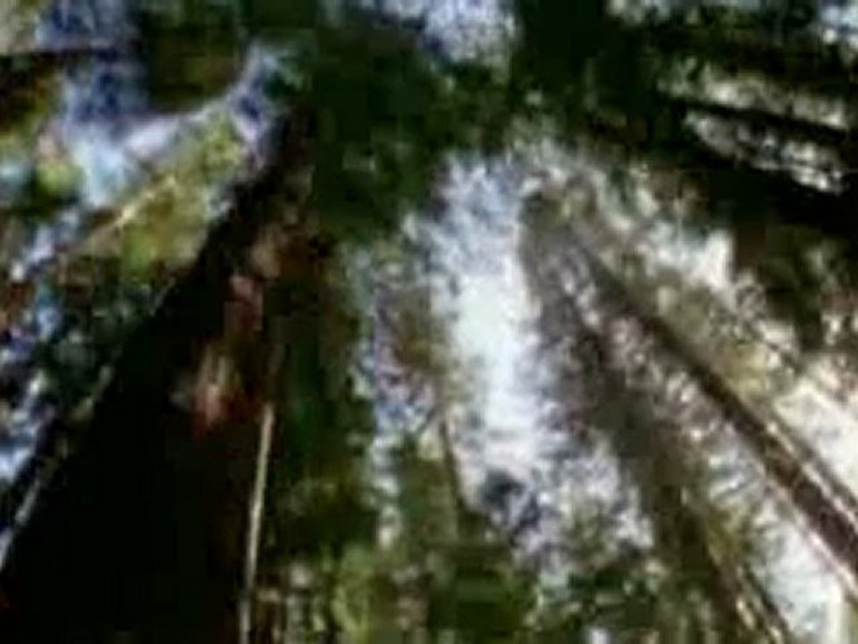 superscience (les tempetes solaires)(part 3sur3)