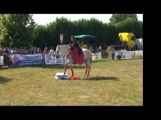 Fête du cheval des Bizots