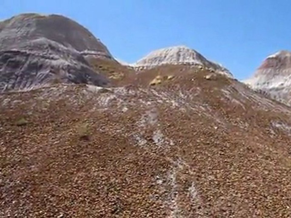 2011 06 04 Petrified Forest AZ