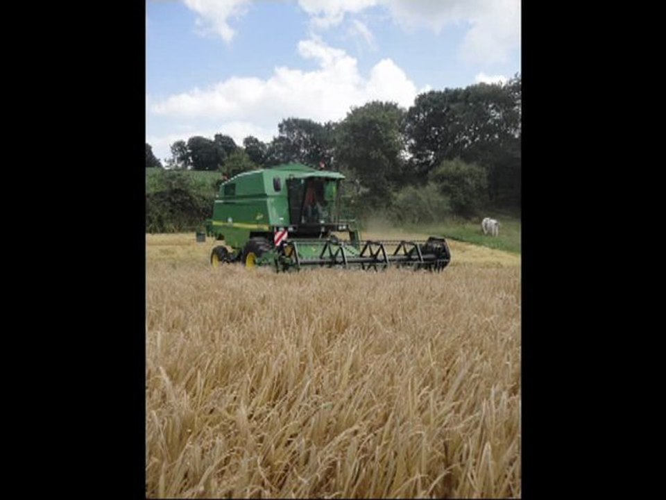 MOISSON D'ORGE 2011 / ETA HAMELIN