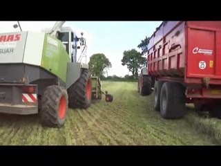 ENSILAGE D'HERBE 2011 / ETA BANNIER