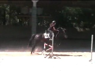 Concours 3 juillet 2011 - Alexandra