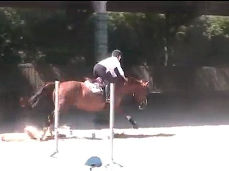 Concours 3 juillet 2011 - Émilie