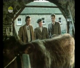 Sleeping Partners Part 4