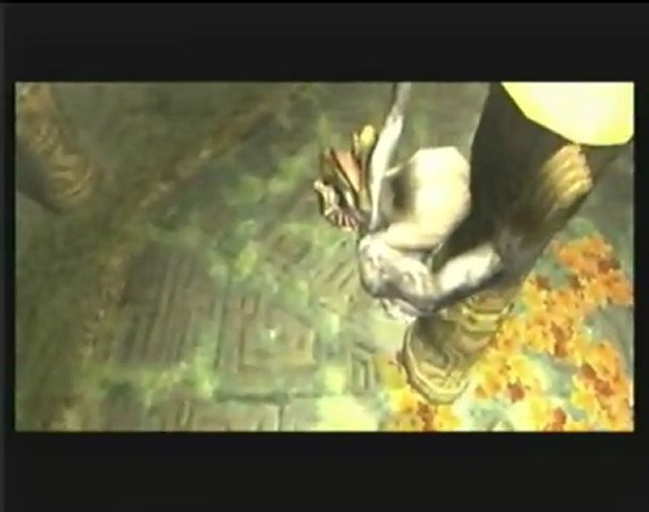 Zelda Twilight Princess Walkthrough Part 11 - Forest Temple (2-3)