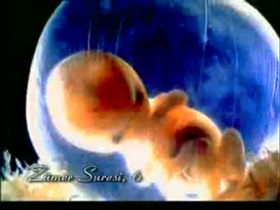 Kuran Meali: Zümer Suresi 1-9