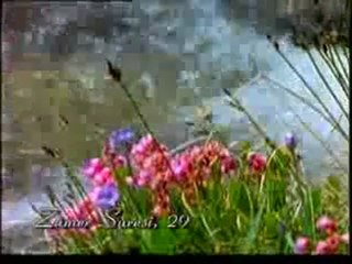 Kuran Meali: Zümer Suresi 21-40