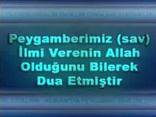Peygamberimiz (sav) başarıyı verenin Allah olduğunu bilerek dua etmiştir