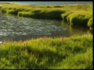 Peygamberimiz (sav) her türlü kötülükten Allah'a sığınarak dua etmiştir