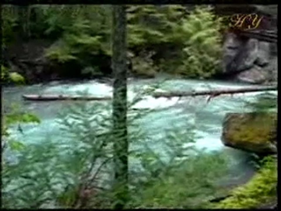 Peygamberimiz (sav) dualarında Allah'tan bağışlanma dilemiştir