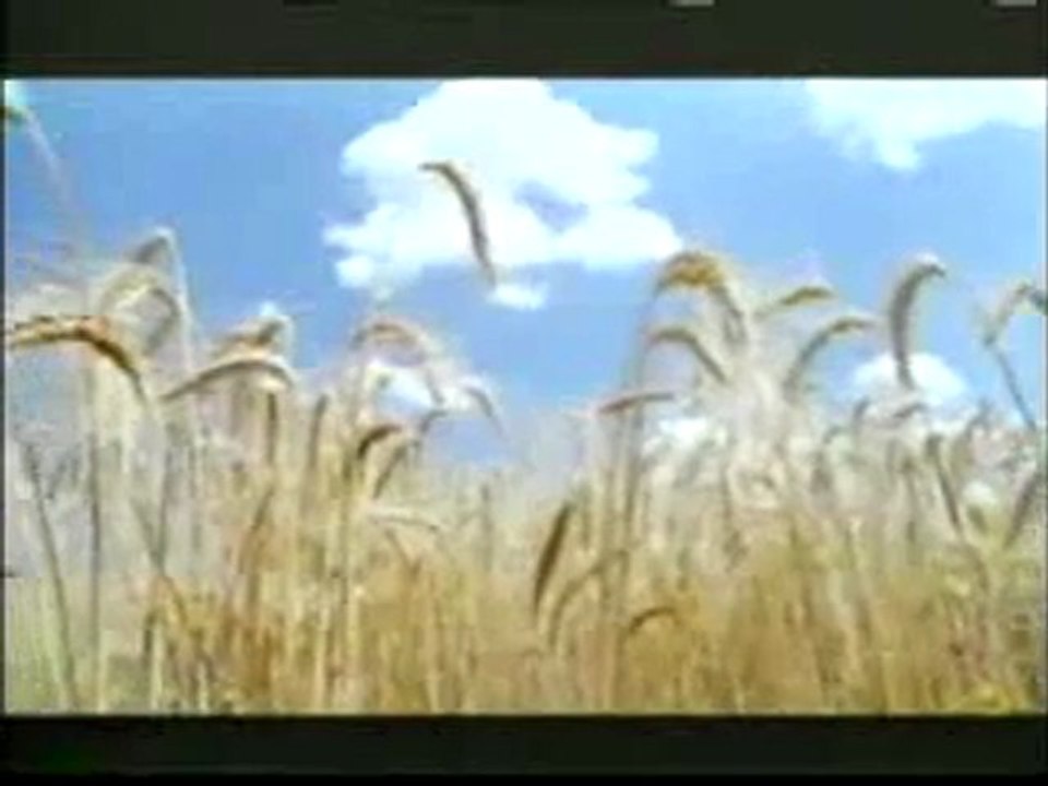 Kıyamet alametleri: Ayın yarılması