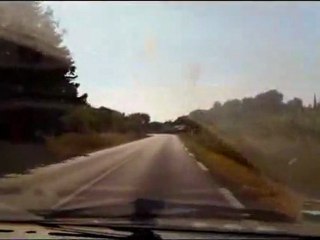 patou dans sa twingo !