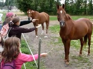 I camp St Tarcisius juillet 2011