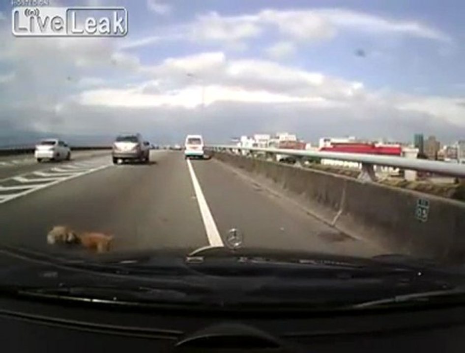 Nur Driving Down The Road Und WTF!