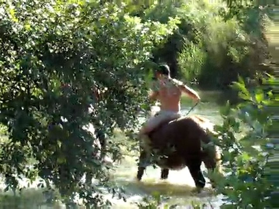 uria montée dans l'eau