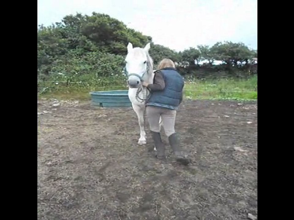 Moly a décidée qu'elle ne savait plus faire le reculé .. :/