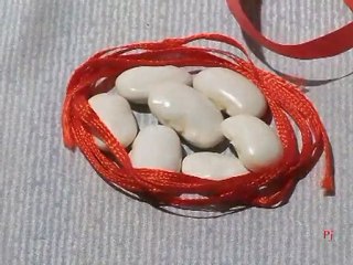 Le Fil Rouge - Pj 2010