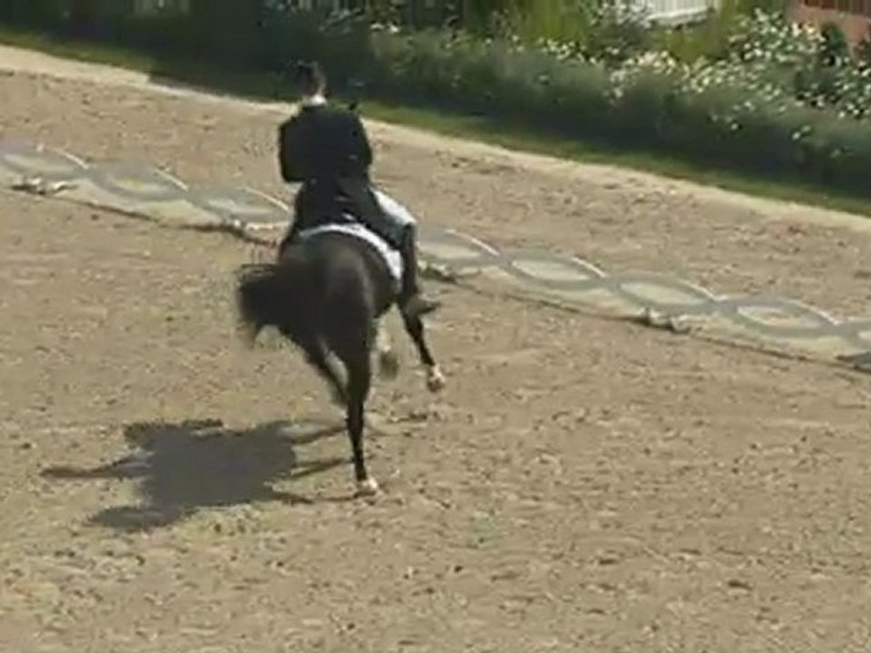 Aken-2011-Freestyle-Winning-Totilas-Rath