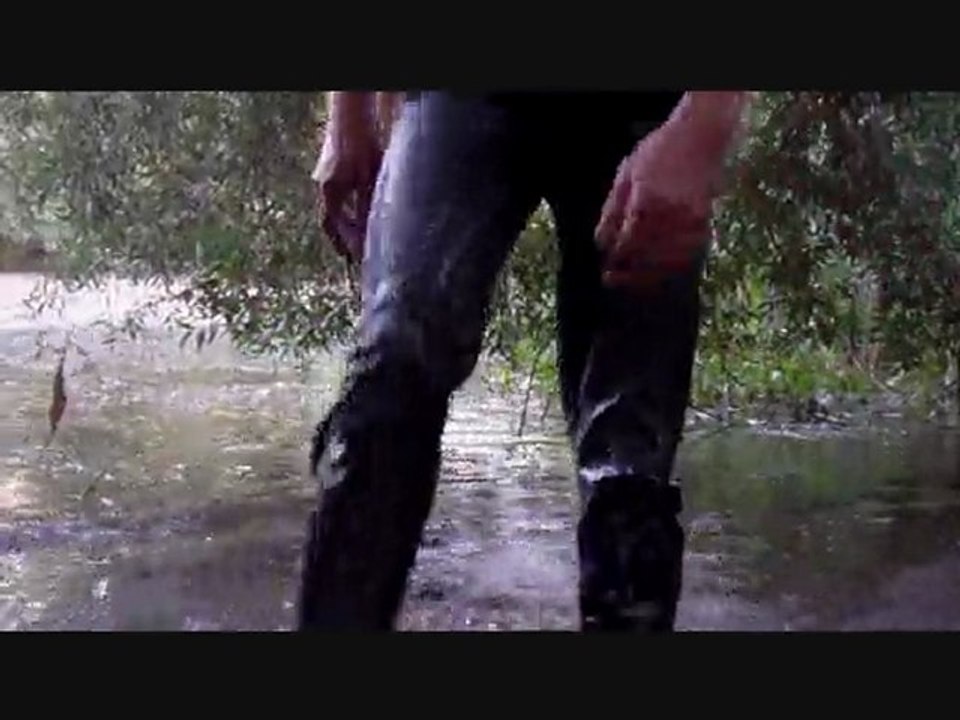 A sponge in a frog pond