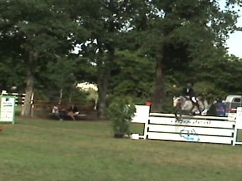 Day Dreamer E.S GRAND PRIX du CSI**Challans 4 juiullet 2011