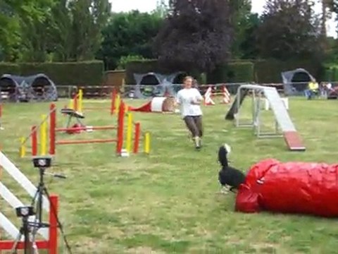 Elis Degre Blagnac 160711