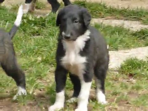 bébés dehors le17 juillet 11 001