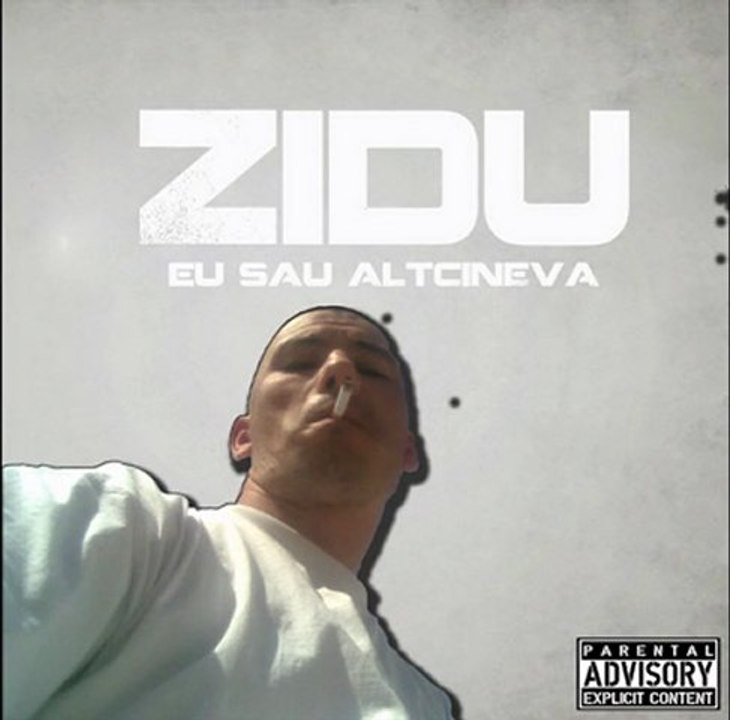 ZIDU-O VIATA BANALA