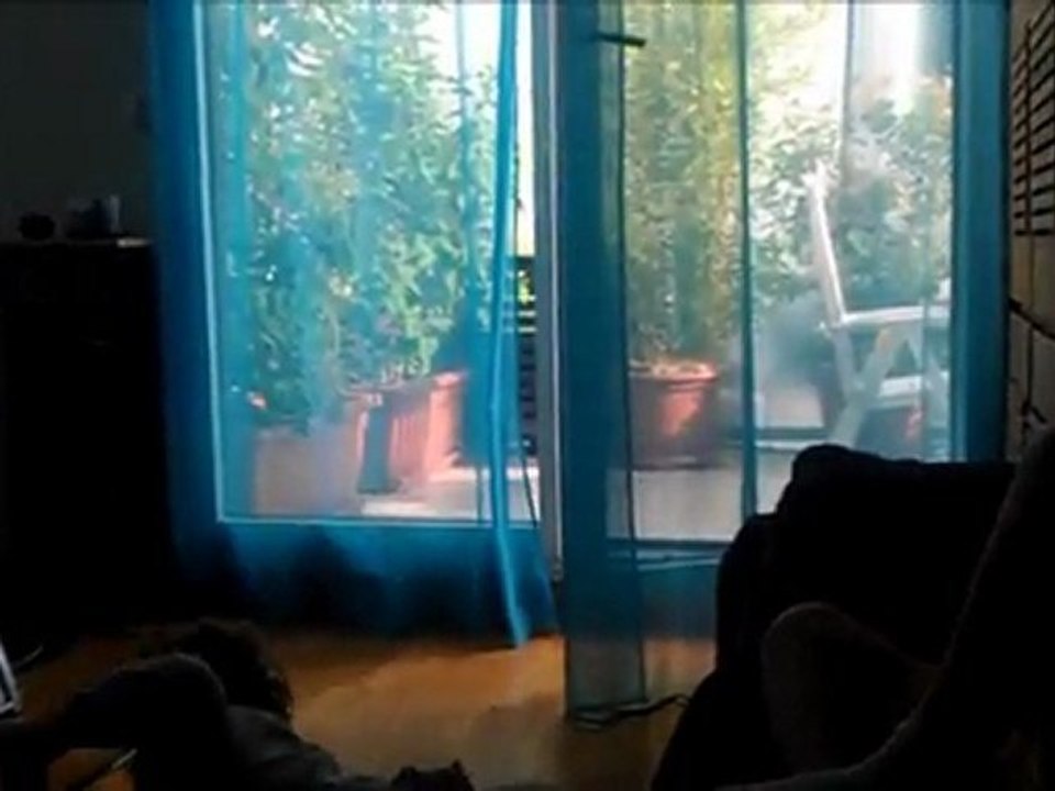 Mathéo et Chloé - 05-06-2011