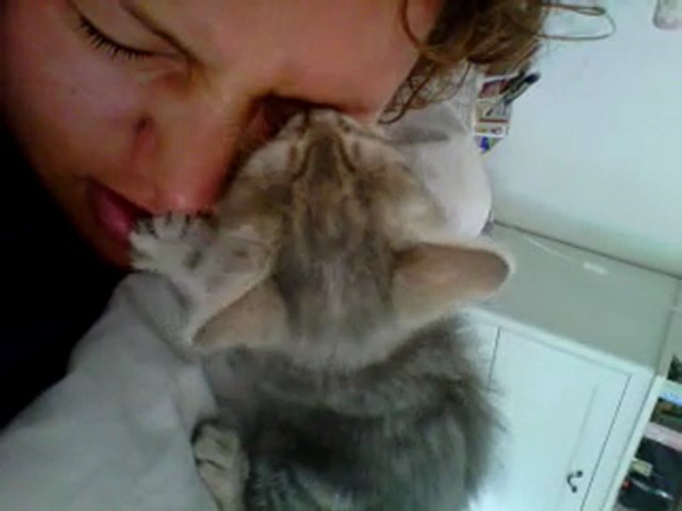 chaton qui tete l'oeil