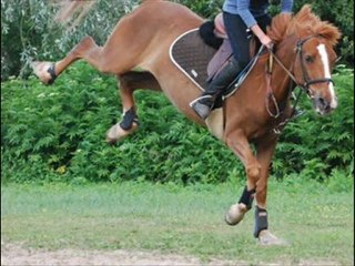 Vidéo d'introduction (blog)