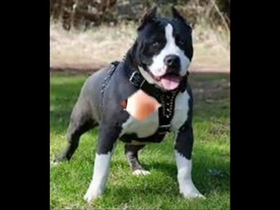 Jennifer Lopez Feat Pitbull - Ven A Bailar Müzic Club Mix 2012 )