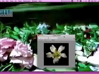 Children in coffin covered with flowers