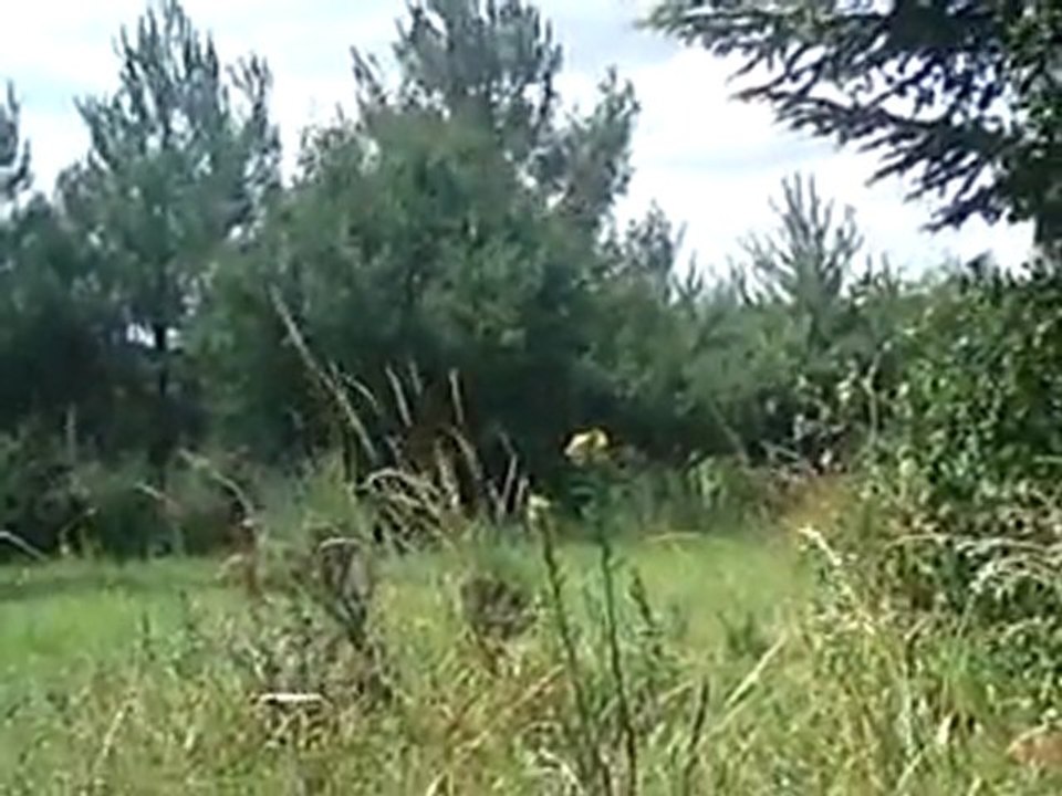 sansara
