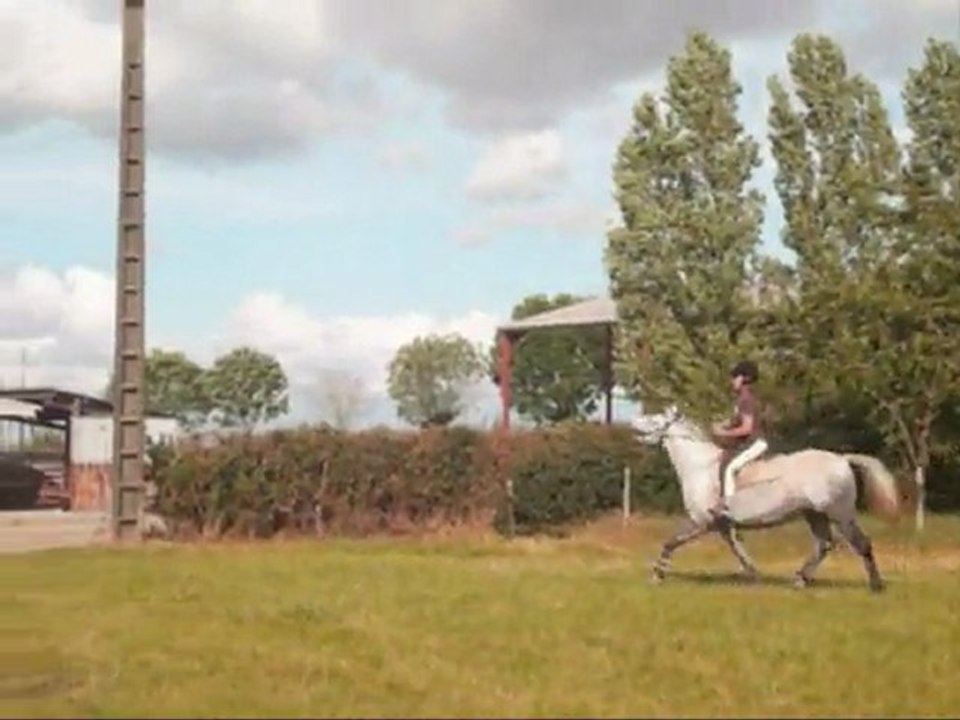 Cannelle séance de plat :)