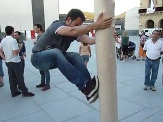 Tree Climbing San Sebastian Spain