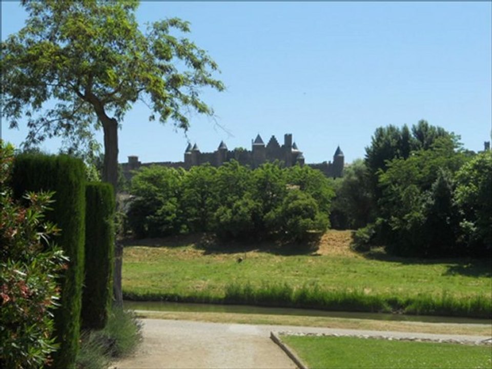 Canton d'Alzonne 2011. S.LAGRANGE " La Vague Bleu Marine " .