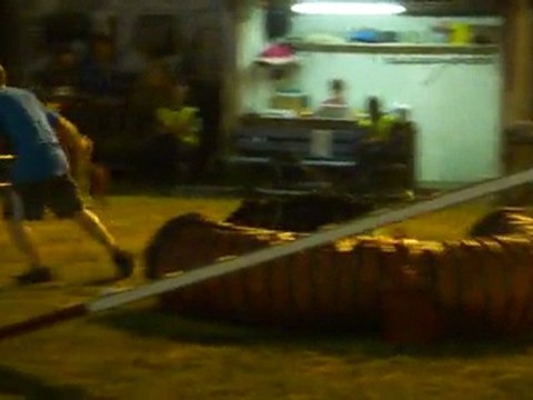 Brooks GPF Blagnac 160711