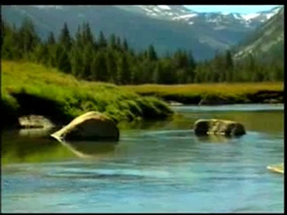 Sevgi, bağlılık ve merhamet