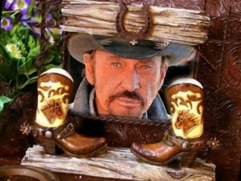 johnny hallyday La Terre Promise [Promised Land]