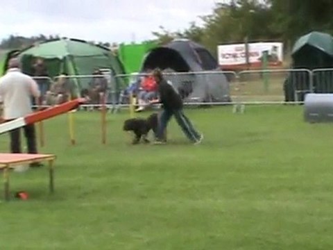 Elyte 1er degré Ingré 07 2011