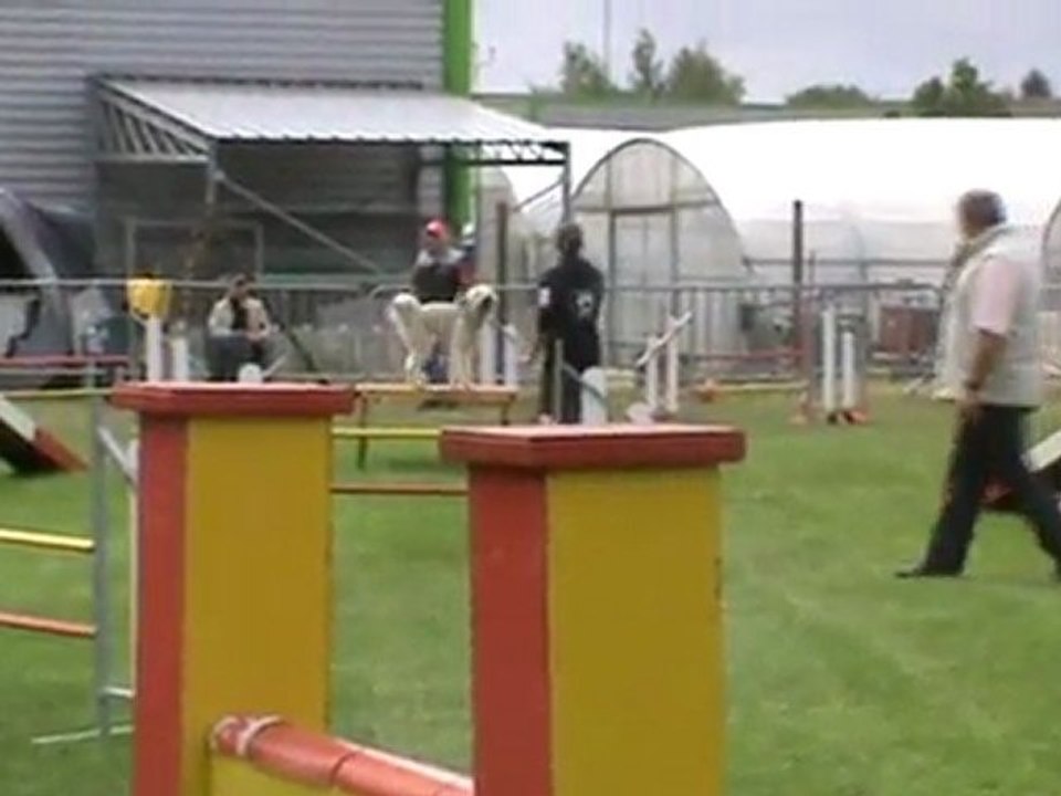 Choco 2è degré Ingré 07 2011