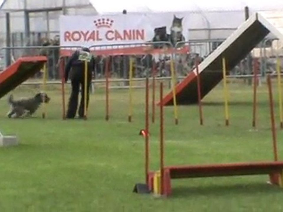 Eden 2è degré Ingré 07 2011