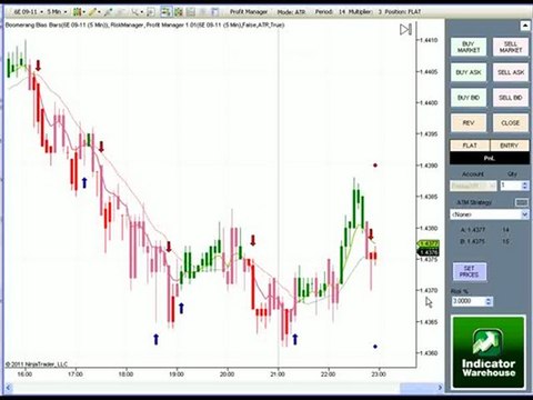 NinjaTrader Profit Manager | Indicator Warehouse