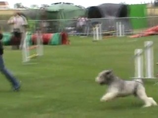 E.mail GPF Ingré 07 2011