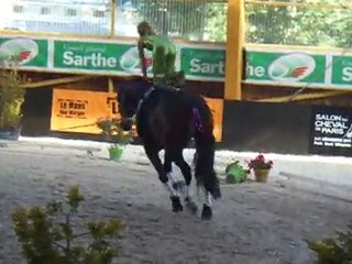 championnat de France Jeunes chevaux