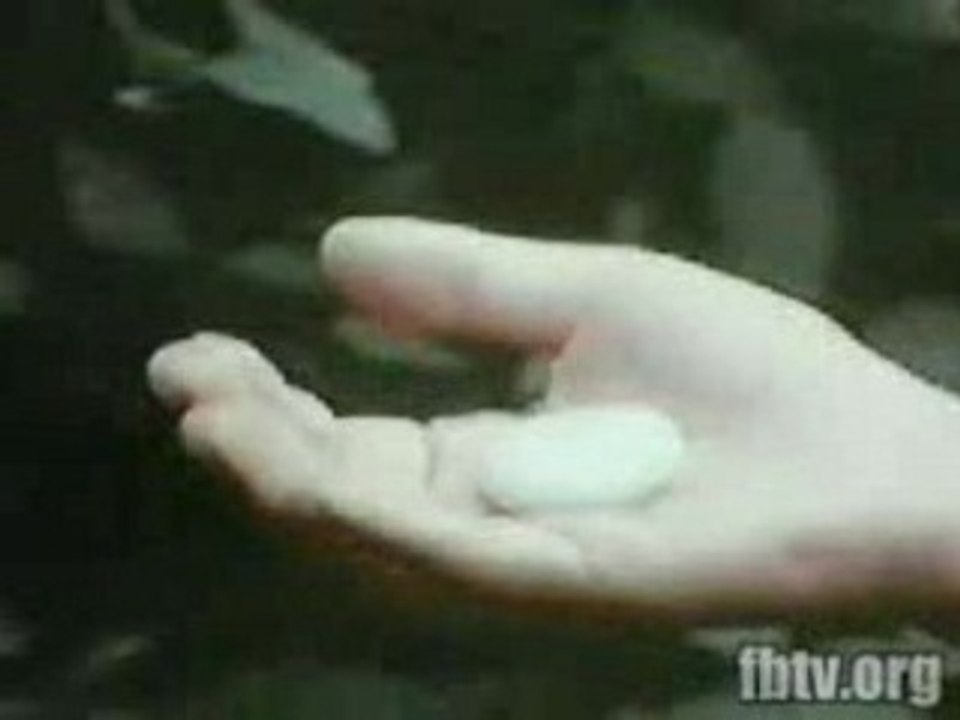 Pietrabianca